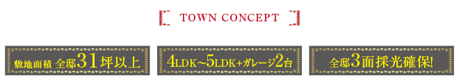 TOWN CONCEPT